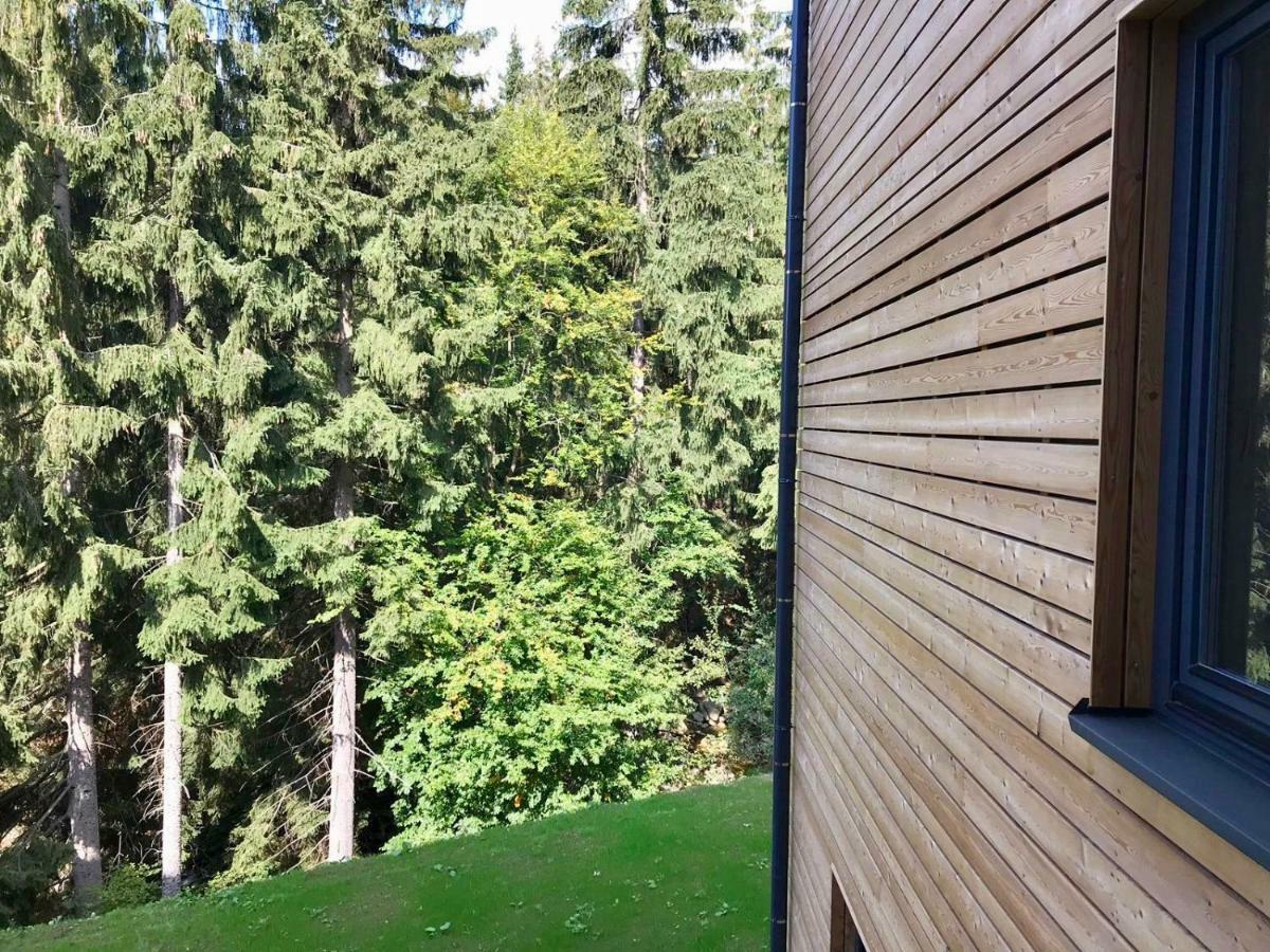 Utulny Apartman U Mumlavskych Vodopadu Harrachov Eksteriør bilde
